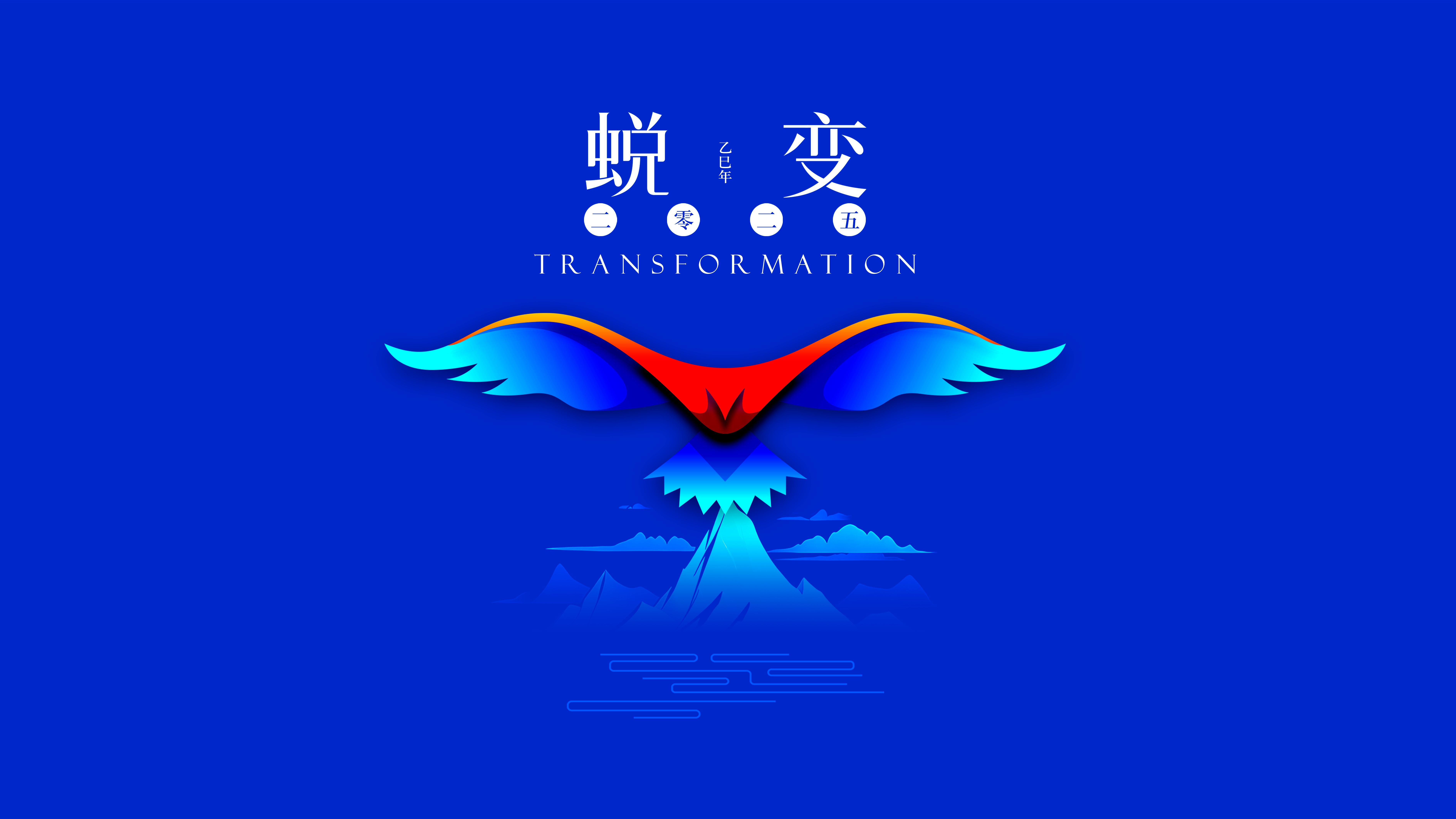 我與海星的2024，期待2025年與您一起續寫(xiě)美好篇章